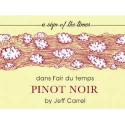 Dans l'air du temps 2015 pinot noir