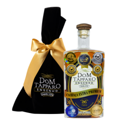 Dom Tapparo 10 ans