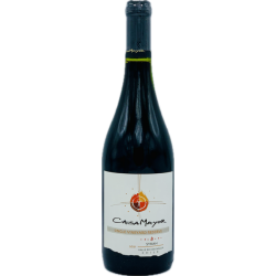 Casa Mayor Syrah 2021