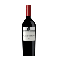 Olivier Cazenave Montagne Saint-Emilion 2023
