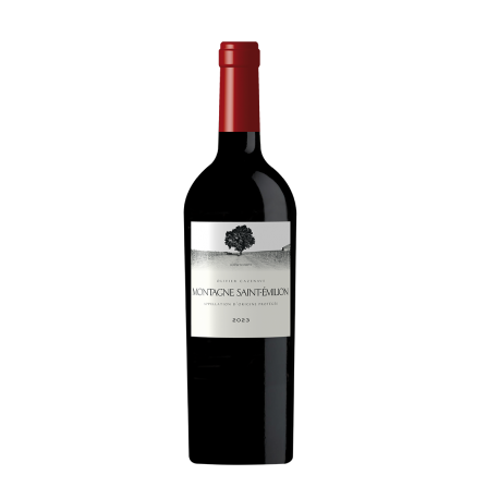 Olivier Cazenave Montagne Saint-Emilion 2023