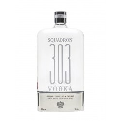 Squadron 303
