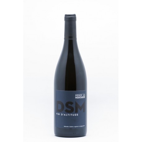 Domaine Sous la Montagne 2016 Domaine Sous la Montagne 2016