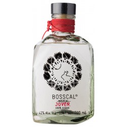 Bosscal Agave Cenizo