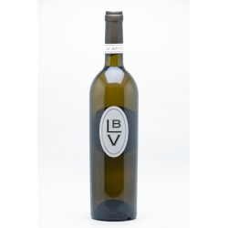 lbv Jeff Carrel