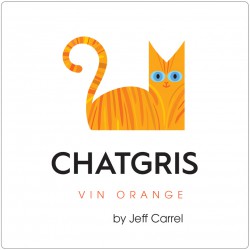 Chat Gris