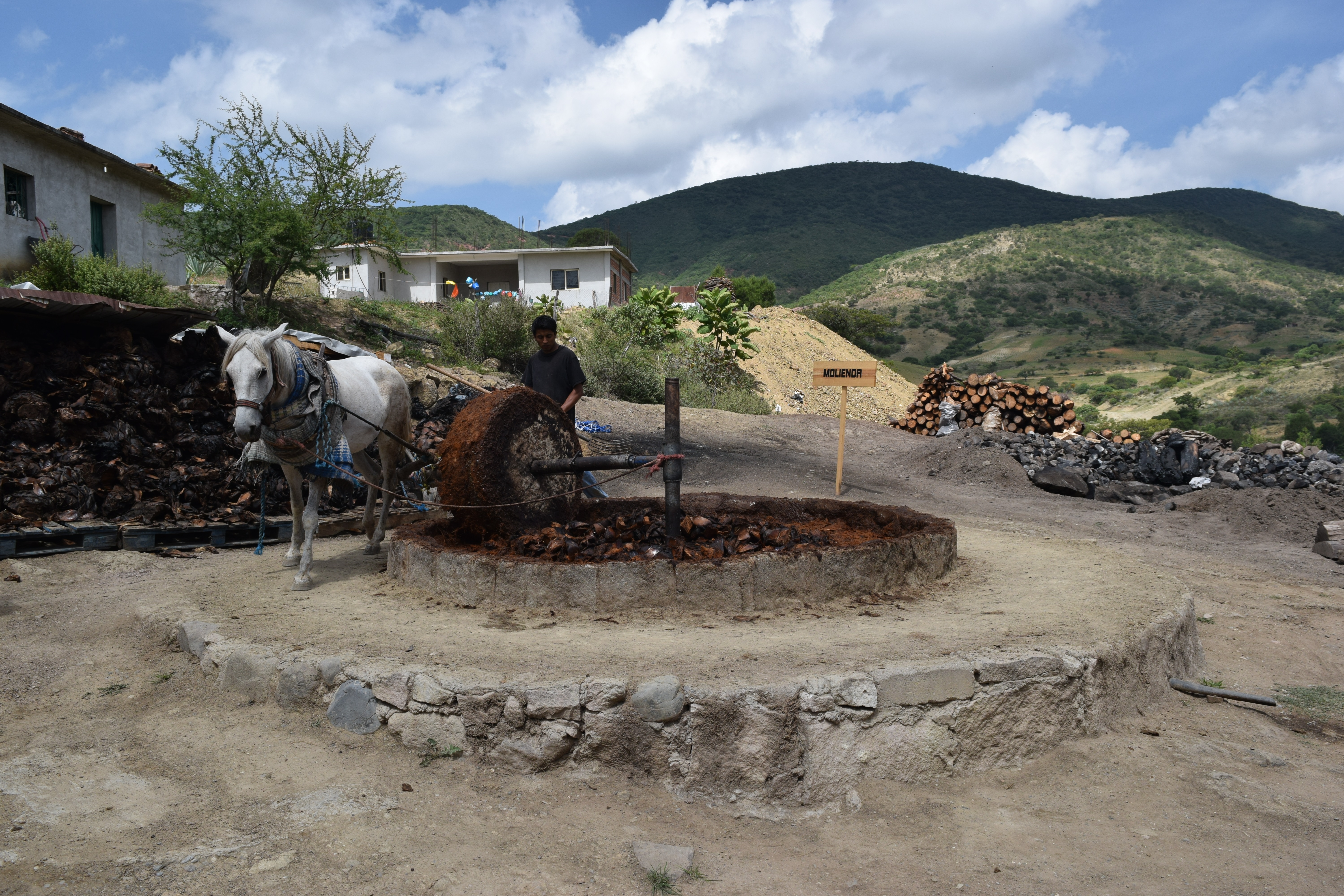 artisanales mezcal koch