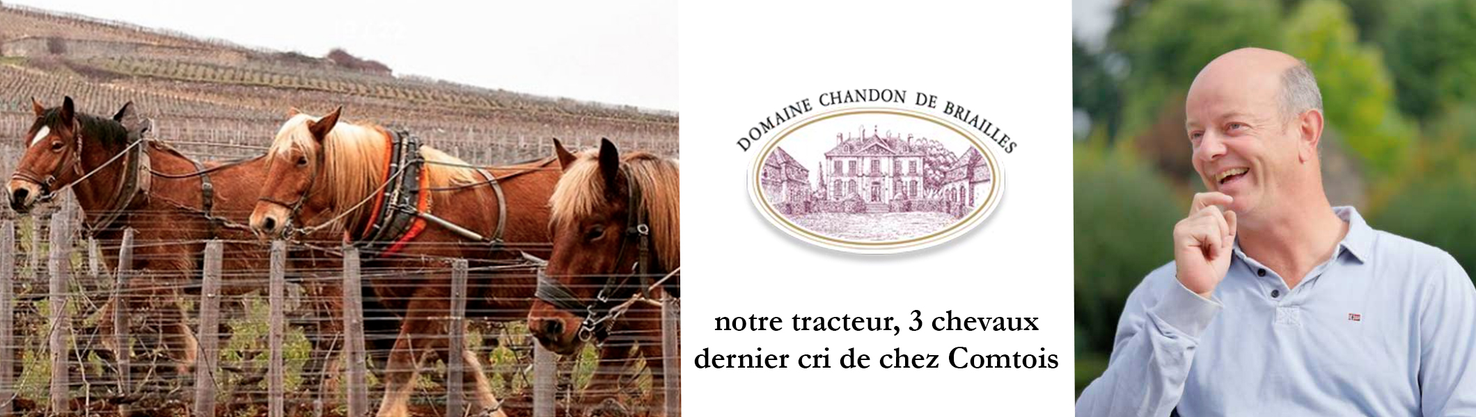 chandon de briailles