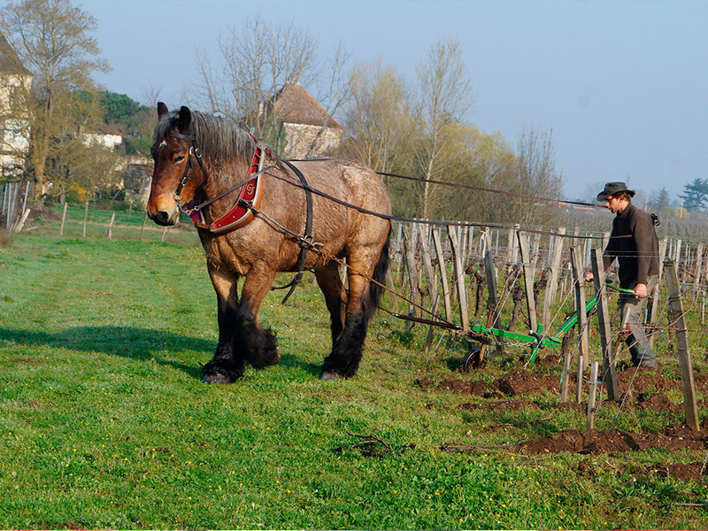 la veille des landes