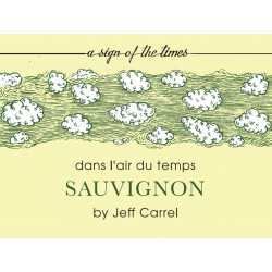 Dans l'air du temps 2017 sauvignon