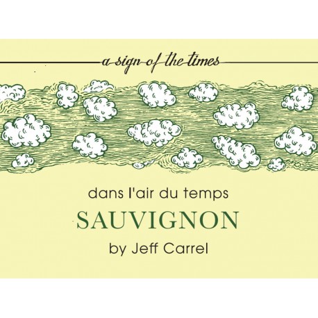 Dans l'air du temps 2017 sauvignon