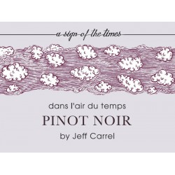 Dans l'air du temps 2017 pinot noir rosé