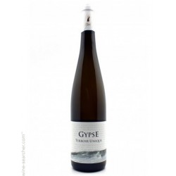 Sylvie Spielmann Gypse 2015
