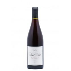 pinot noir 2019 by jeff carrel