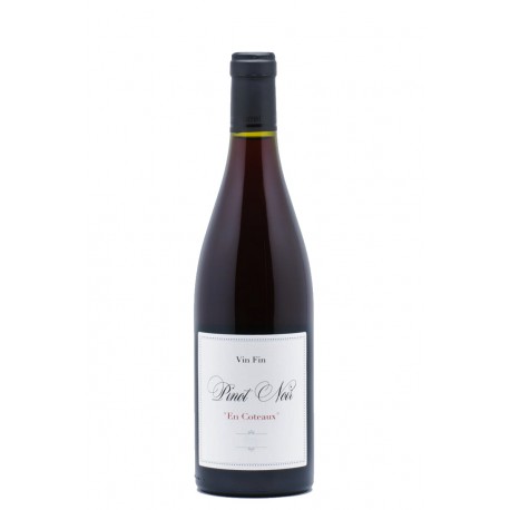 pinot noir 2019 by jeff carrel